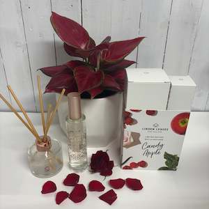 Bundles: Stunning Red Valentine Aglaonema & Candy Apple Fragrance Duo Set