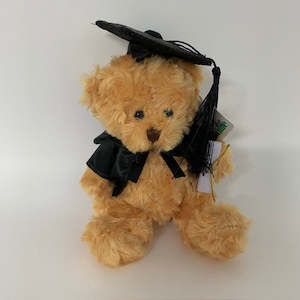 Graduation Bear complete with graduation hat and scroll