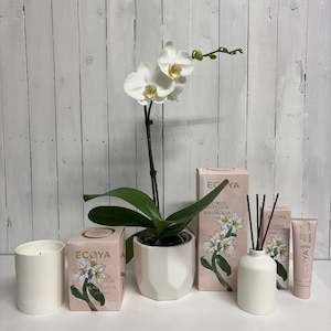 Bundles: Deluxe Mother's Day bundle - Stunning Orchid & lovely Ecoya products