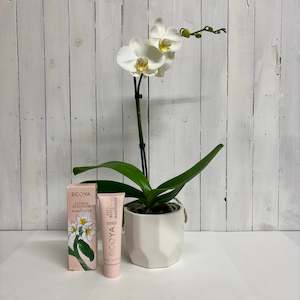 Bundles: Beautiful white phalenopsis Orchid and Ecoya Handcream