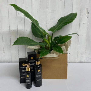 House Plant Bundles: Blokes Bundle - Philodendron Imperial Green