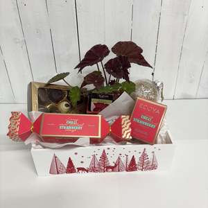 Delux Christmas Bundle - A tray full of Cheer