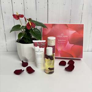With Love - Aromatherapy Wellness and Plant bundle