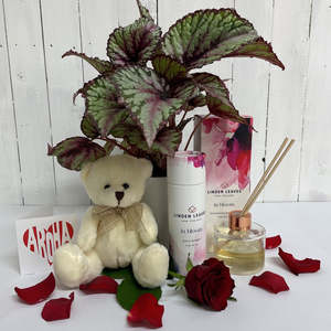 New Baby 1: Colourful Begonia Salsa and Teddy Bear Bundle