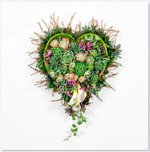Card - Succulent Heart