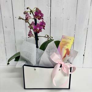 Bundles: Elevate your interior with a lovely Phalaenopsis Orchid and hand cream gift set
