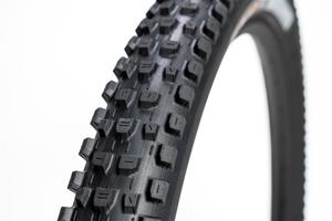 Maxxis Dissector G2 29"