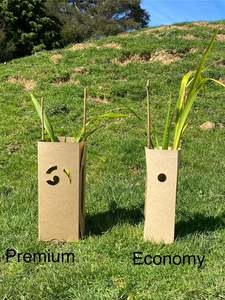 Mohua Multiguard - Economy