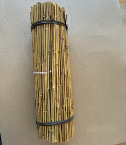 Frontpage: 60cm bamboo stake