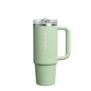 Stanley The Quencher ProTour Flip Straw Tumbler Pistachio 30oz