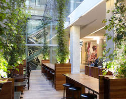 Locations Old: Willis St - Spark Central