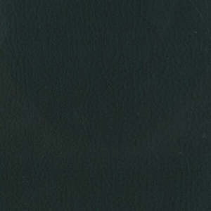 APOLLO 4-way Stretch Commercial Vinyl