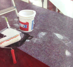 XCEL Drop Cloth
