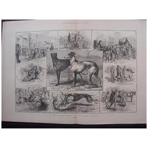 Products: The Coursing Meeting At Altcar, Near Liverpool' - The Illustrated London News Feb. 26 1881