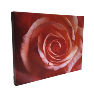 8x12 Mounted Canvas Print