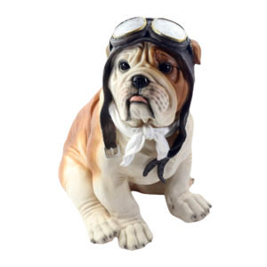 Just For Dad: Bulldog Pilot