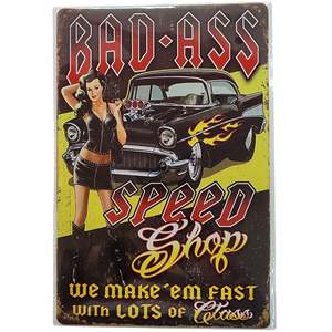 Fast Cars Tin Sign