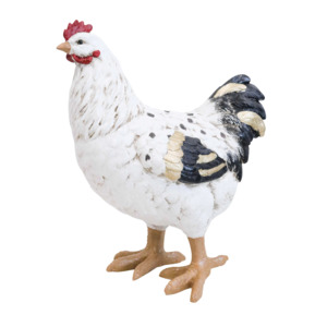 Standing Chicken