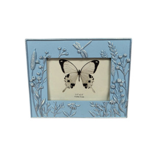 Dragonfly Sky Blue Frame 2x3