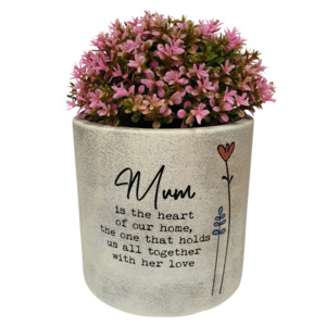 16cm Wild Meadow Pot Plant - Mum