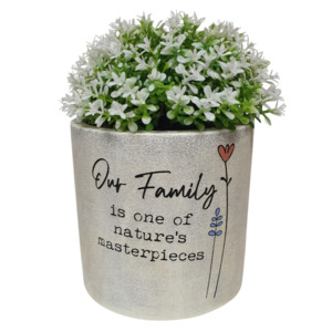 16cm Wild Meadow Pot Plant - Family