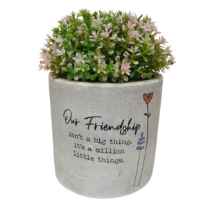 16cm Wild Meadow Pot Plant - Friendship