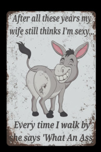 Art Tin - What an Ass