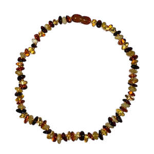 AMBER 14/15" (34CM) BABY BAROQUE MULTI COL.