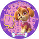 Paw Patrol Skye Edible Cake Image - can be personalised - The Monkey Tree