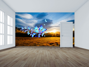 Products: wall