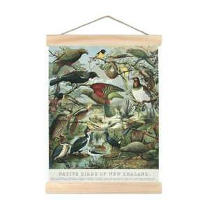 Giftware: Native Birds Of Nz - Mini Wall Chart