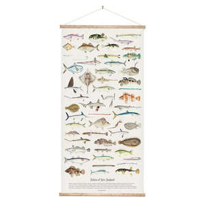 Giftware: Fishes of New Zealand Wall Chart