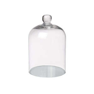 Small Glass Dome