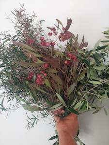 Mixed foliage box- Spray Free - Autumn colours