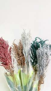 Dried & dyed Solidago - Christmas colours - 18 bunches