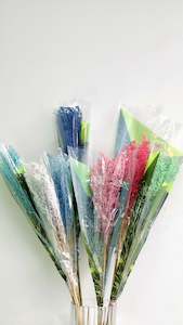 Dried & dyed Solidago - Assorted colours - 19 bunches