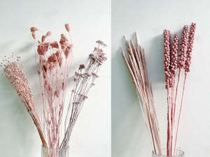 Mixed dried flower box - Light pink hues - 7 bunches