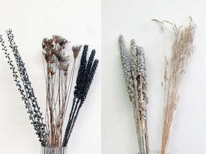 Mixed dried flower box - Black & White Tones - 10 bunches