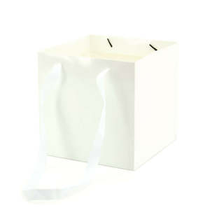 Flower Carrier Bag w/Handles Small 22Sqx22Hcm Pk/10 - White