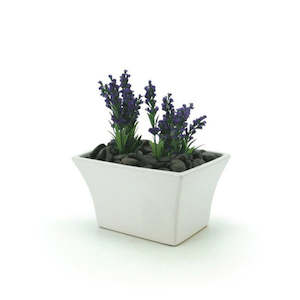 Oceans Ceramics: Ceramic Flared Rectangular Vase 22Lx15Wx13Hcm - Ivory (03-DOL9)
