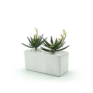Ceramic Rectangular Vase 24Lx11Wx12.5Hcm - Ivory (03-RECT10)