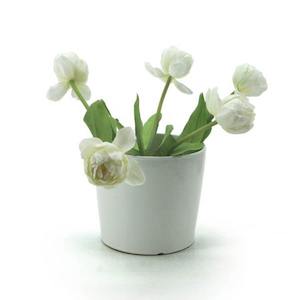 Oceans Ceramics: Ceramic Squat Round Vase 17TDx14BDx15Hcm - Ivory (03-DOL54)