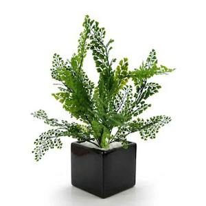 Ceramic Square Vase 13Sqx12.5Hcm - Black (03-SQ5)