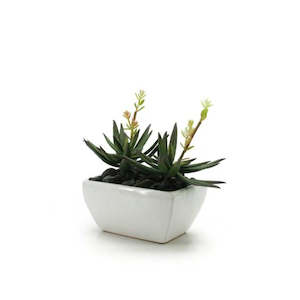 Ceramic Tapered Rectangular Vase 15Lx11Wx9Hcm - Ivory (03-DOL16)