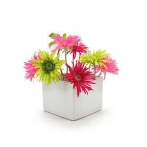 Oceans Ceramics: Ceramic Square Vase 18.5Sqx14.5Hcm - Ivory (03-SQ6)