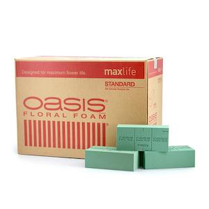 Oceans Floral Foam Wreaths: Oasis Bio Floral Foam Wet Maxlife Ctn/48 - Green