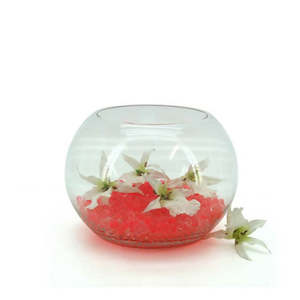Glass Fish Bowl 15TDx25Wx18Hcm - Clear (02-FISH25)