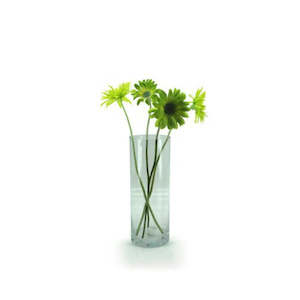 Oceans Glassware: Glass Cylinder Vase 14.5Diax40Hcm - Clear (02-CYL40X14)