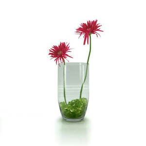 Glass Bullet Vase 15TDx10BDx28Hcm - Clear (02-BUL28)