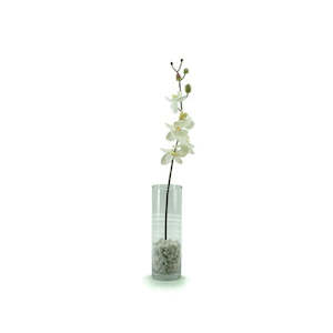 Oceans Glassware: Glass Cylinder Vase 10Diax30Hcm - Clear (02-CYL30X10)